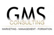 GMS Consulting Logo